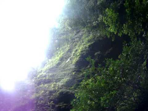 Rio Camuy Cave Park (Cuevas de Camuy)