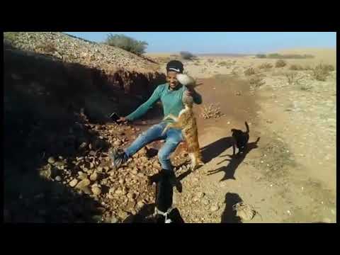 Nhar zahi m3a lhbab tahiya lsiyada