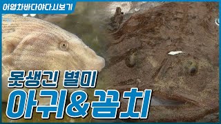못생긴 물고기에서 이제는 없어서 못먹는 인생역전 '아귀'와 '꼼치'