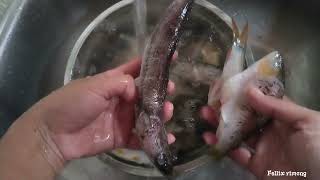 Download lagu Pengawa lemai ari// mansuh keli enggau ikan bangah gais😋 mp3 Download lagu Pengawa lemai ari// mansuh keli enggau ikan bangah gais😋 mp3
