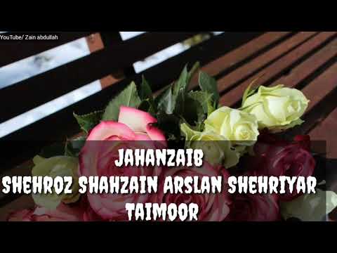 Jahanzaib Shehroz Shahzain Arslan Shehriyar Taimoor name WhatsApp status