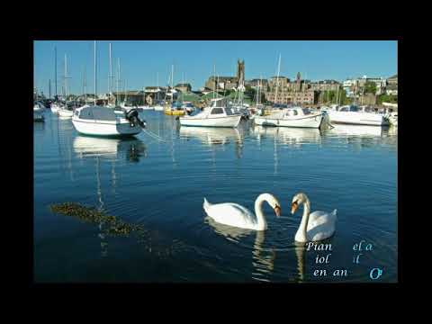 Bilegtugs plays  Le Cydne (The Swan) by Saint-Saёns