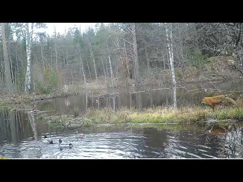 Julkalendern lucka 2