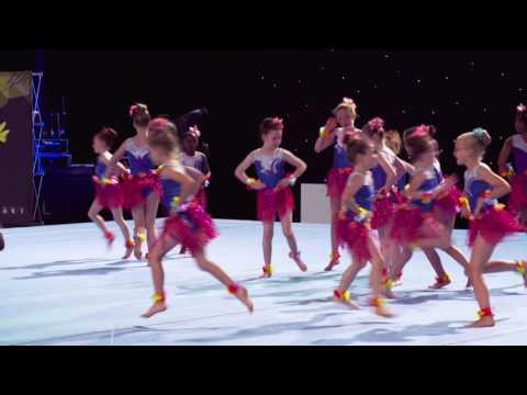 The Floor 2017 : Display Team - Gym Stars