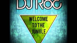 Welcome to the Jungle / DJ Roc