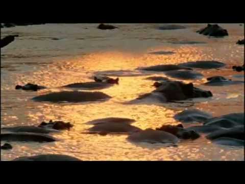 Der Nil   Die grosse Flut Dokumentation über den Nil Teil 2