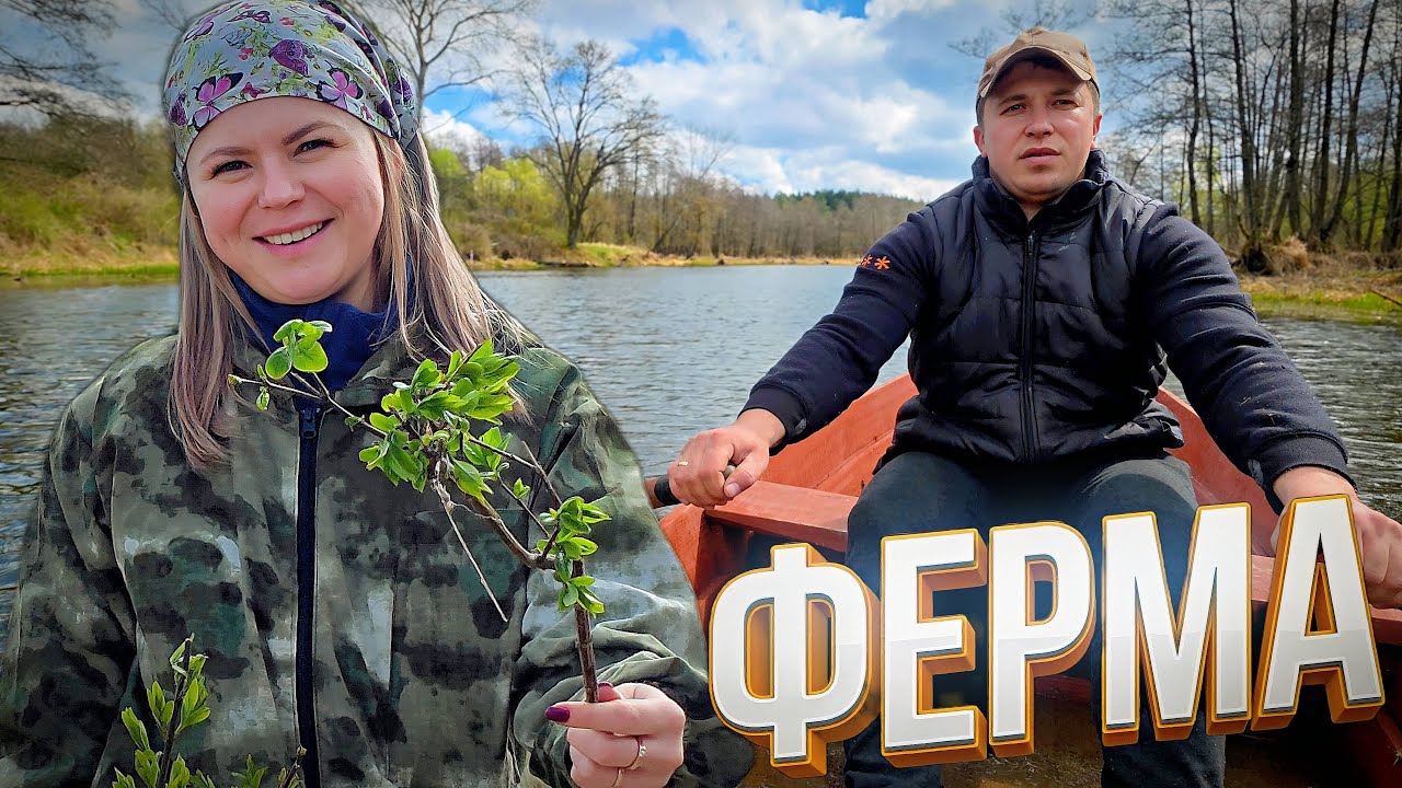 ХУТОРОМ даже не пахнет! Что скрывает участок и почему СКВАЖИНА так важна? Что