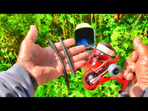 Easy Way To Catch 10X MORE Bass