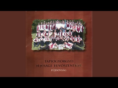 A Salzburg Impression