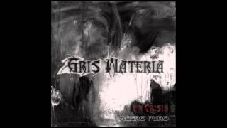 PARANDO EL MURO - ACERO PURO - GRIS MATERIA EN CRISIS