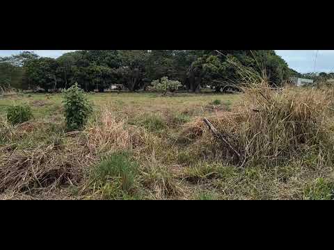 gleba 83 Sítios de recreio Americano do Brasil