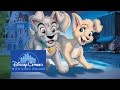 Lady And The Tramp II Scamp S Adventure Disneycember