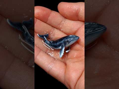 amazing animal transformation
