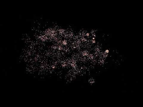 Pyrocentury Mad Dog Fächerbatterie im Test // Pyrotechnix Feuerwerk Shop //