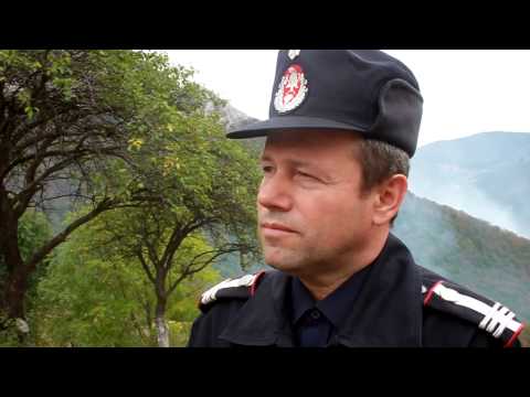 Declaratie incendiu Tecsesti , Dorel Sofica