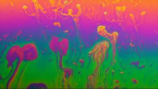 Sunset Shadows - the black velvet session