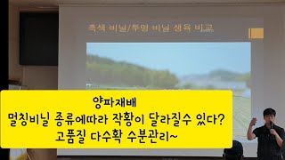 양파 고품질 다수확 비닐선택과 수분관리