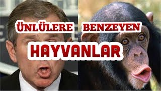 ÜNLÜLERE ŞAŞIRTICI DERECEDE BENZEYEN HAYVANLAR HAYRET EDECEKSİNİZ