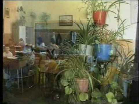 Liceul Sportiv Alba, Prezentare