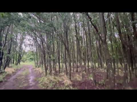 Recorriendo el campo, La Carolina, San Luis