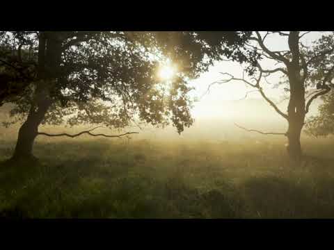 Lasse Lyx, Christina Smit - Suffering in Paradise (2010s Pop)