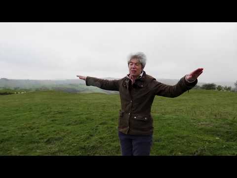 NFU Opening Video Environment Conference