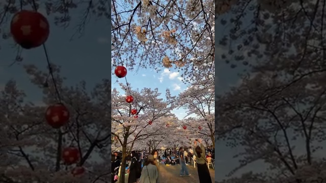 YouTube Short thumbnail