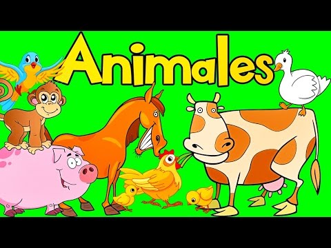 Sonidos de Animales para bebes | Aprende los Animales | Videos para Niños |  lunacreciente
