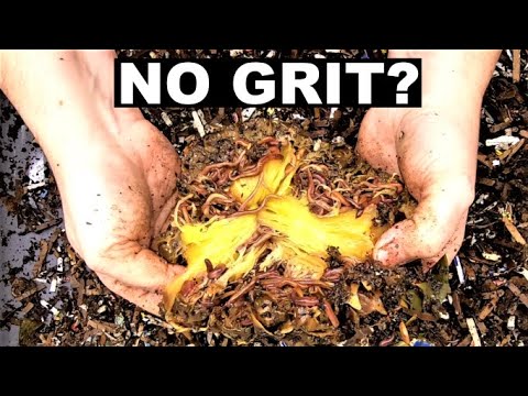 Worm Compost Bin Without using GRIT