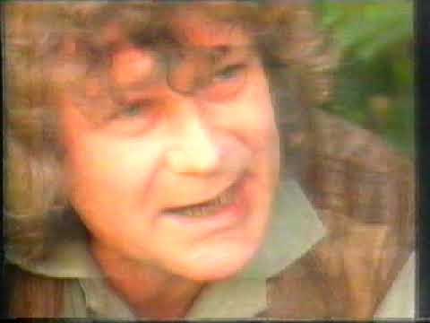 Holocaust aus der Sicht der Täter und Gaffer