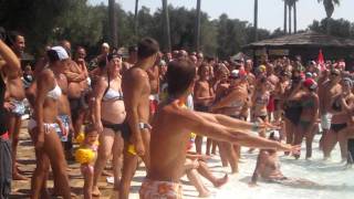 Raffaella Carrà__ Balli di gruppo_2011_Andrea Micello