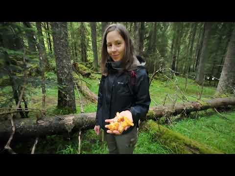 2024 Retyezát (Munții Retezat), Erdély