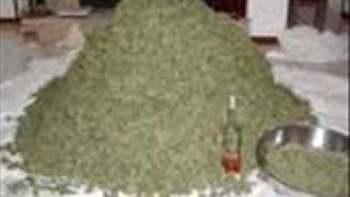 Wayne Marshall . The  Right Herbs