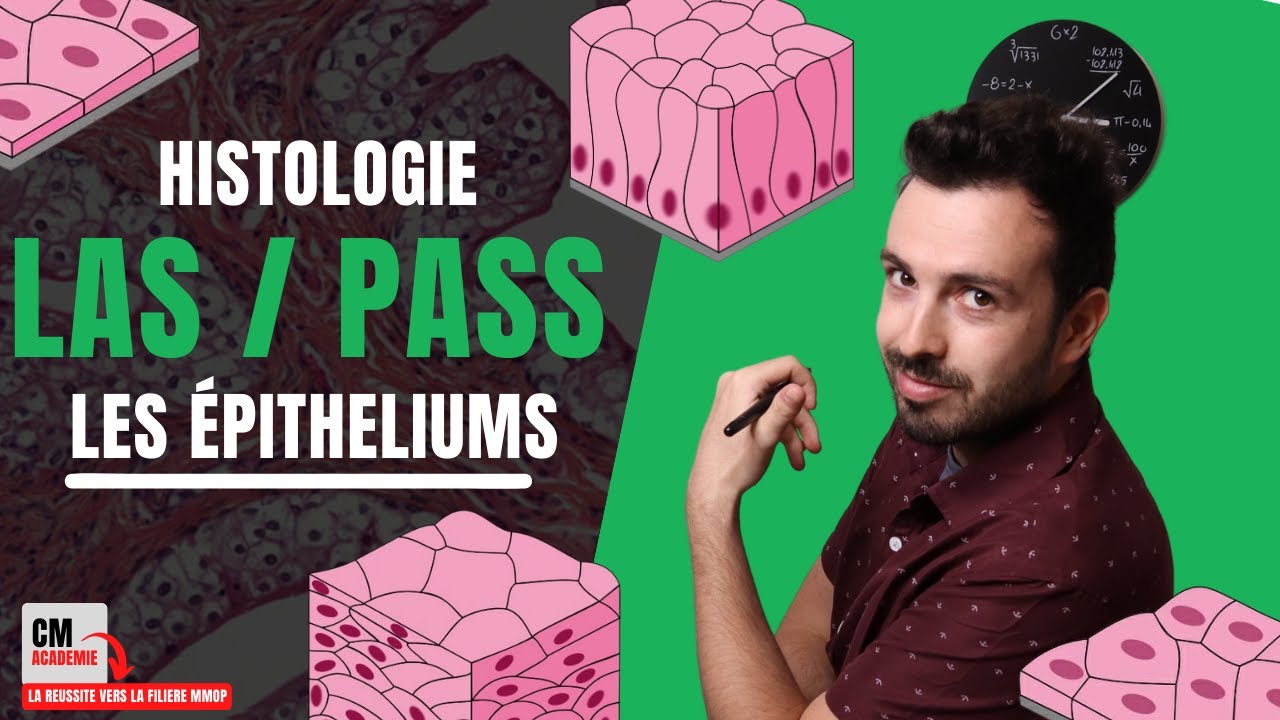LES EPITHELIUMS (revêtement et glandulaire) :  🧫 Vous ne verrez plus l'HISTOLOGIE de la même façon !