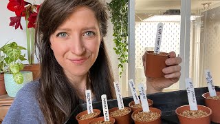 Sowing Chilli Seeds - Tips, Grow Lights and Set Up / Homegrown Garden
