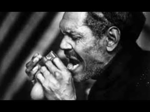 Big Walter Horton & Robert Nighthawk - Have a Good Time