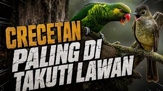 Download lagu MASTERAN FULL TEMBAKAN & CRECETAN RAPAT TAJAM : BRINJI RAMBUT TUNGGIR PERKICI PANTAI SUARA JERNIH mp3 Download lagu MASTERAN FULL TEMBAKAN & CRECETAN RAPAT TAJAM : BRINJI RAMBUT TUNGGIR PERKICI PANTAI SUARA JERNIH mp3