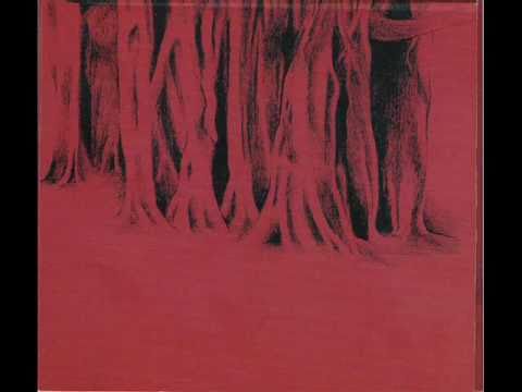 The Translucents  -  Whisper to the sun