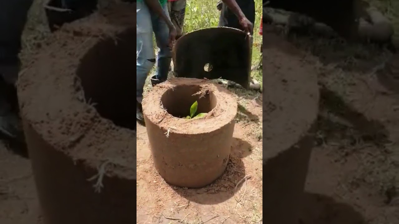 Did you know that mud is a bodyguard?