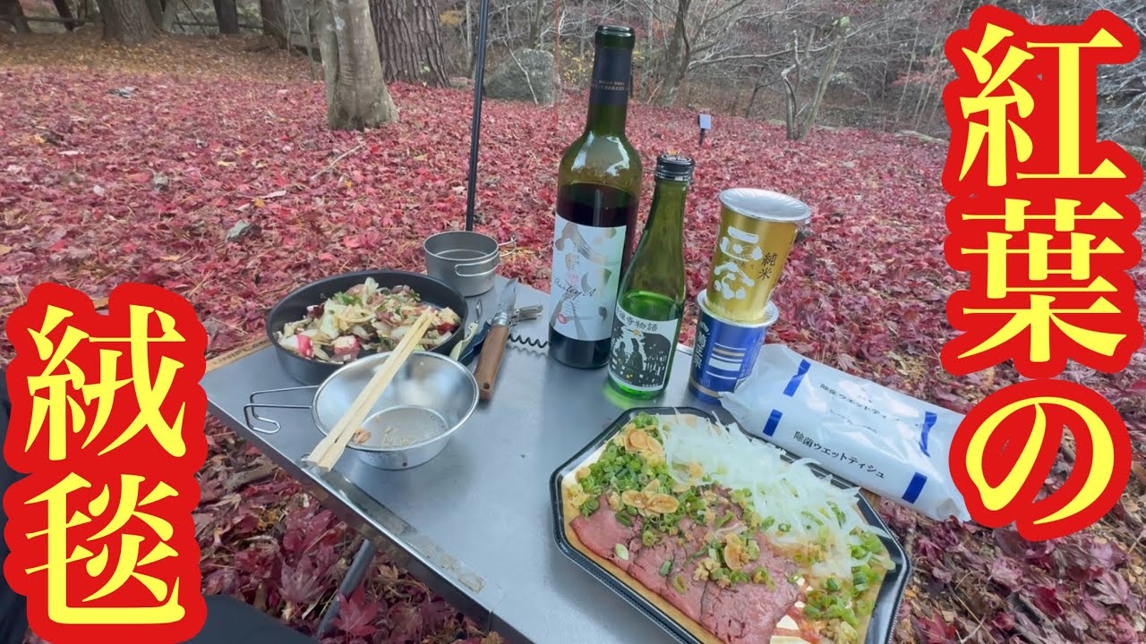【キャン録】自分の山で初ソロのキャンプで熱燗を飲む！！