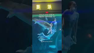 Download lagu 위험천만한 아쿠아리움 사고...🧜 mp3