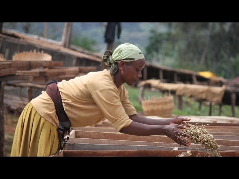 Zero hunger in a changing climate