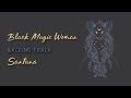 Black Magic Woman » Backing Track » Santana