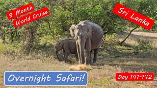 Sri Lanka Safari Adventure - Amazing wildlife in the Yala National Park!