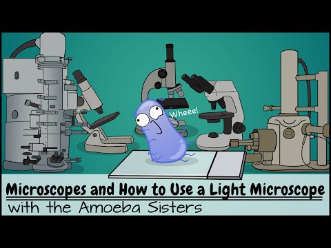 YouTube video about: When viewing a specimen through a light microscope scientists use?