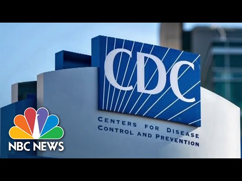 CDC warns STI's are on the rise