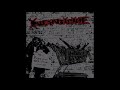 Infanticide From Our Cold Dead Hands 2010 Full Album HQ Grindcore