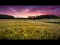 Chemtrails Over The Country Club Lana Del Rey Echo Best Version