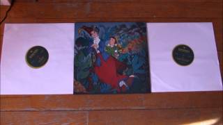 MERIDIAN BROTHERS - doctor trompeta