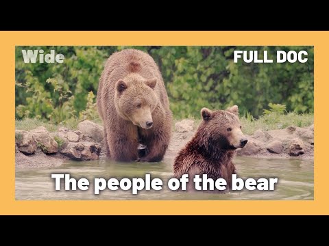 Romania's unique man-bear connection | WIDE | FULL DOCUMENTARY